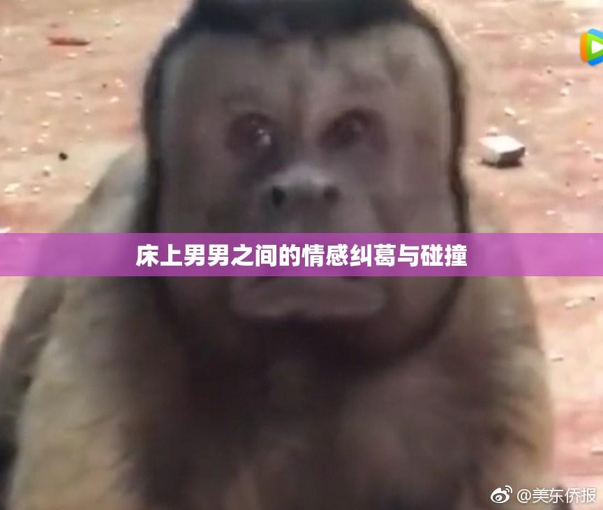 床上男男之间的情感纠葛与碰撞