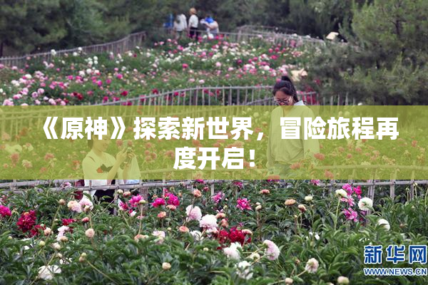 《原神》探索新世界，冒险旅程再度开启！