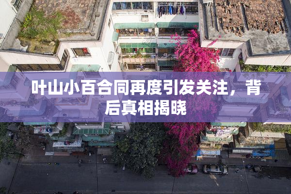 叶山小百合同再度引发关注，背后真相揭晓