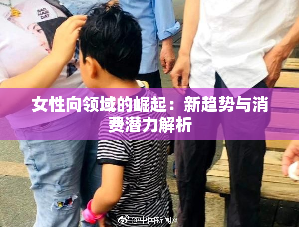 女性向领域的崛起：新趋势与消费潜力解析