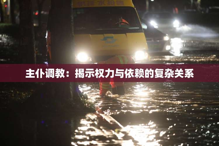 主仆调教：揭示权力与依赖的复杂关系