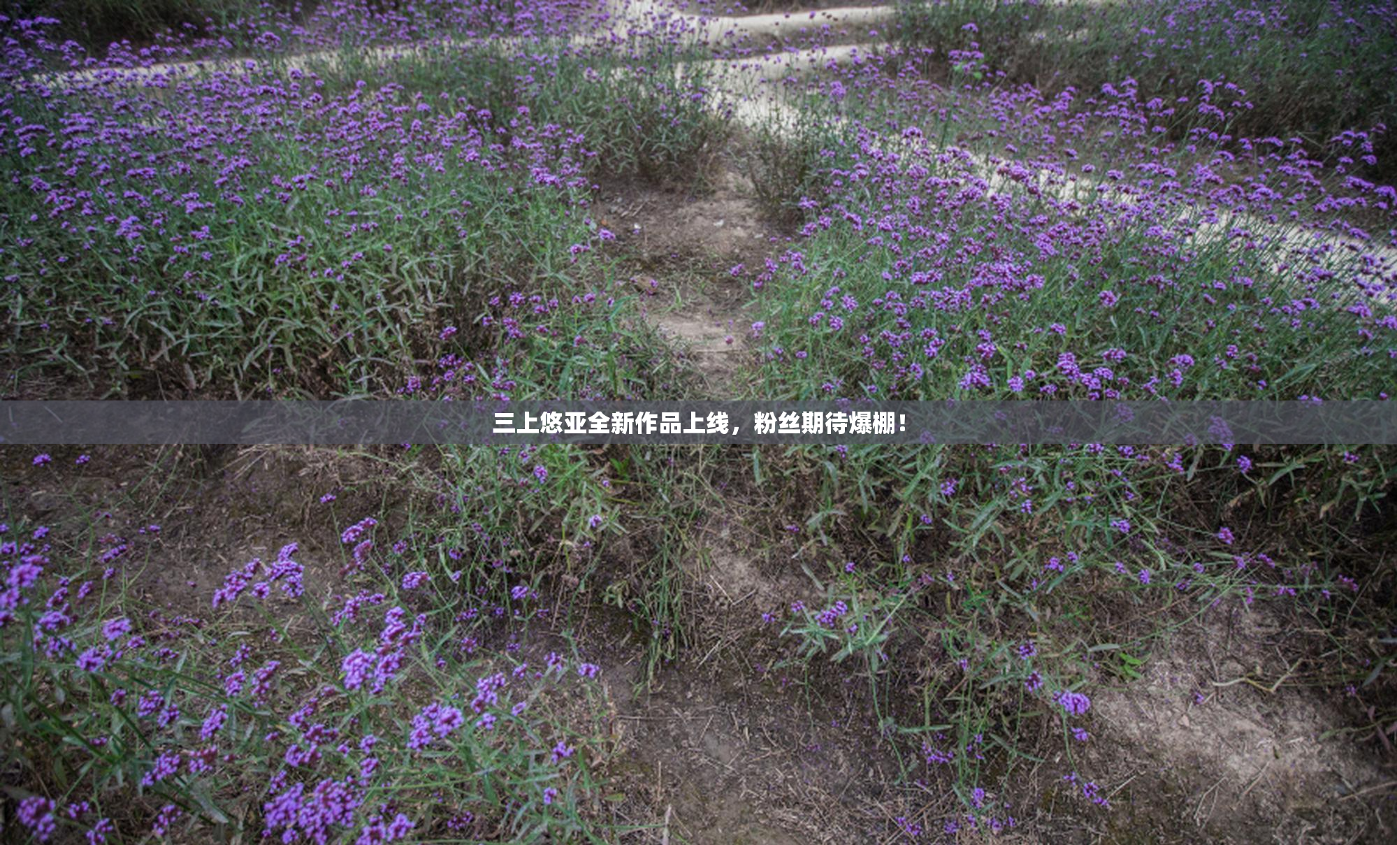 三上悠亚全新作品上线，粉丝期待爆棚！