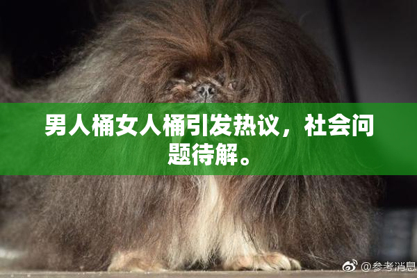 男人桶女人桶引发热议，社会问题待解。