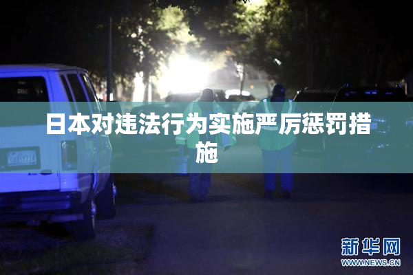日本对违法行为实施严厉惩罚措施