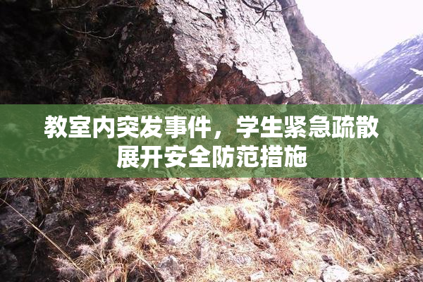 教室内突发事件，学生紧急疏散展开安全防范措施