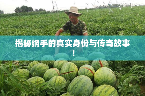 揭秘纲手的真实身份与传奇故事！