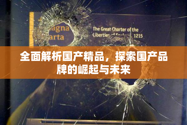 全面解析国产精品，探索国产品牌的崛起与未来