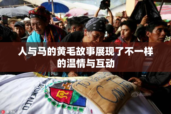 人与马的黄毛故事展现了不一样的温情与互动