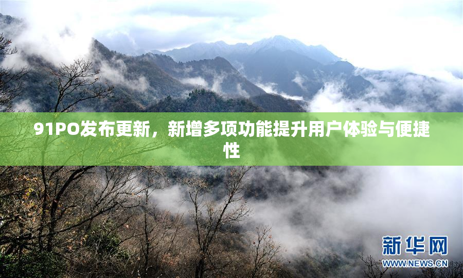 91PO发布更新，新增多项功能提升用户体验与便捷性