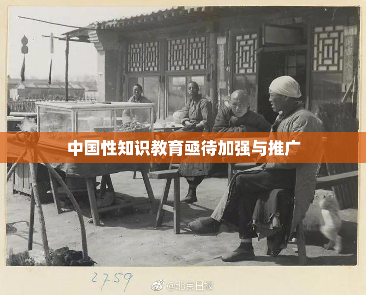 中国性知识教育亟待加强与推广