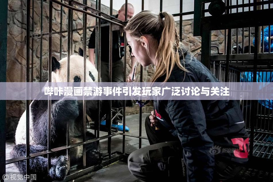 哔咔漫画禁游事件引发玩家广泛讨论与关注