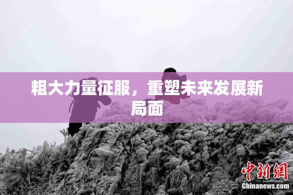 粗大力量征服，重塑未来发展新局面