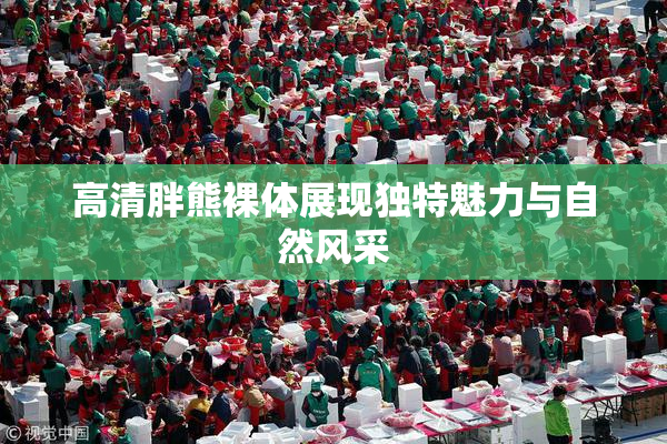 高清胖熊裸体展现独特魅力与自然风采