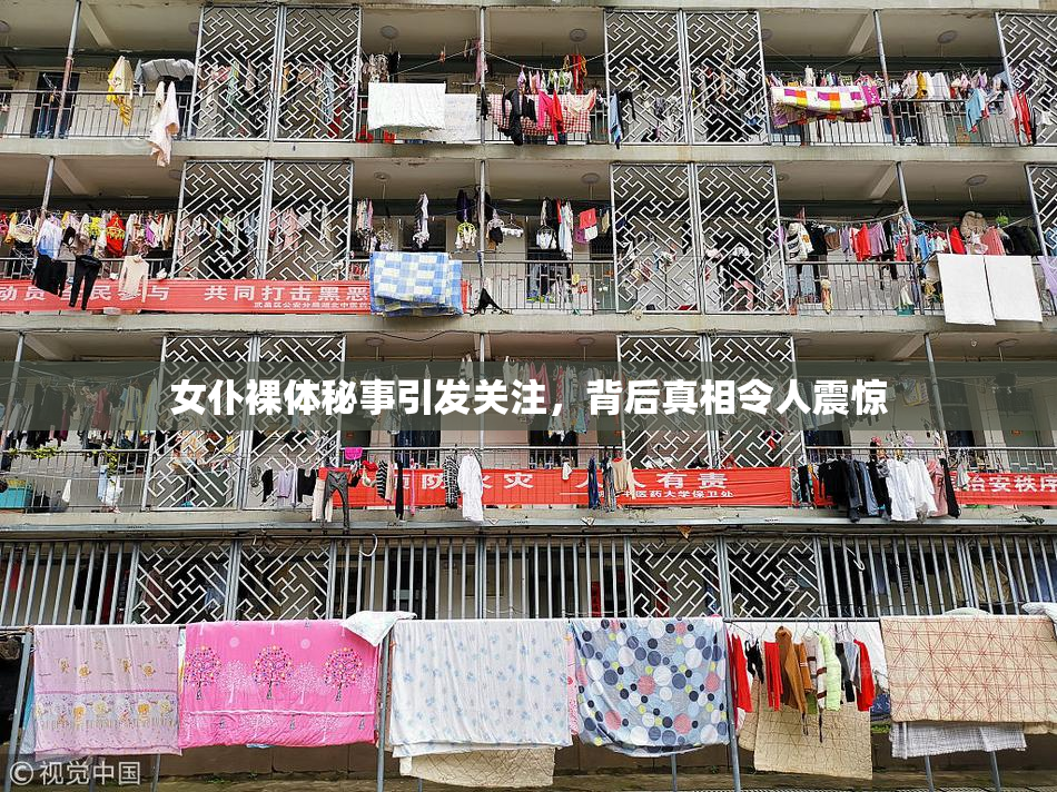 女仆裸体秘事引发关注，背后真相令人震惊