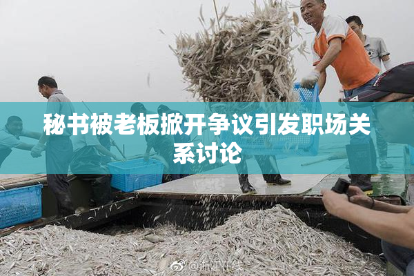 秘书被老板掀开争议引发职场关系讨论