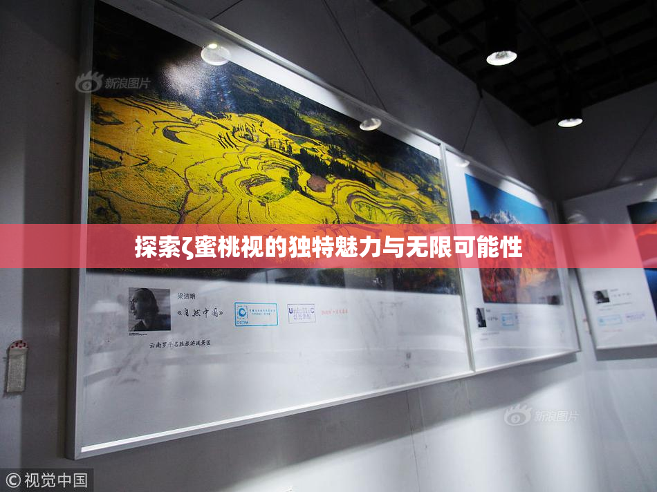 探索ζ蜜桃视的独特魅力与无限可能性