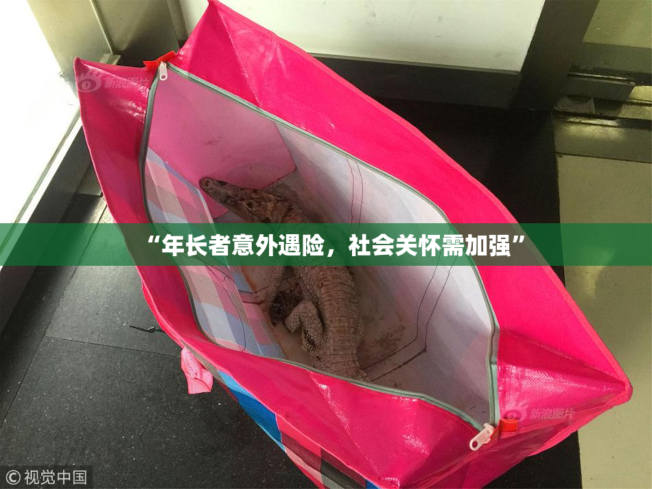 “年长者意外遇险，社会关怀需加强”