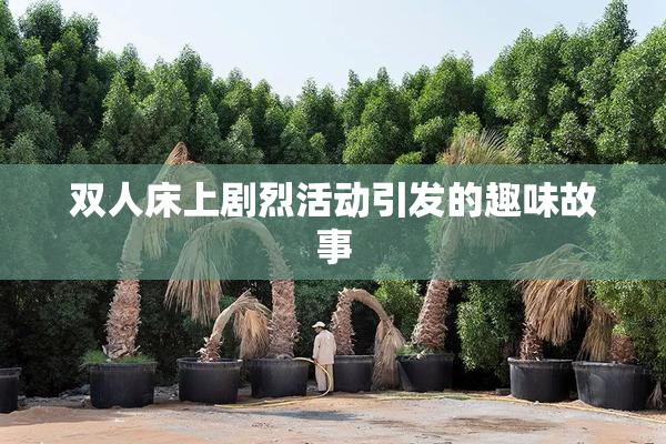 双人床上剧烈活动引发的趣味故事
