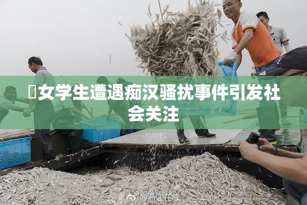 巜女学生遭遇痴汉骚扰事件引发社会关注