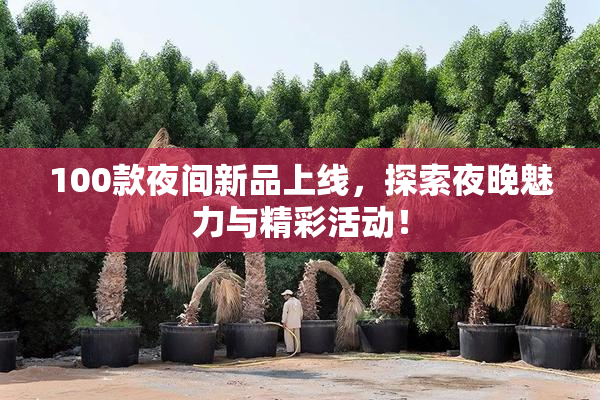 100款夜间新品上线，探索夜晚魅力与精彩活动！