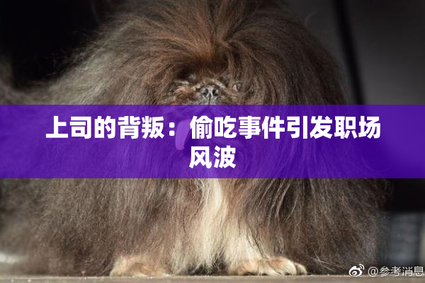 上司的背叛：偷吃事件引发职场风波