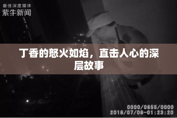 丁香的怒火如焰，直击人心的深层故事