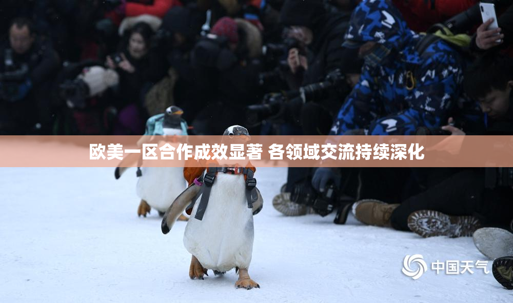 欧美一区合作成效显著 各领域交流持续深化