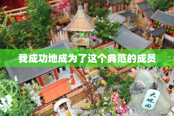 我成功地成为了这个典范的成员