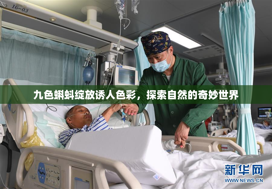 九色蝌蚪绽放诱人色彩，探索自然的奇妙世界