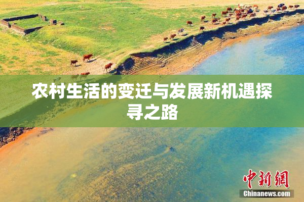 农村生活的变迁与发展新机遇探寻之路