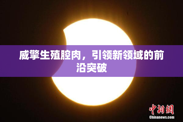 威擎生殖腔肉，引领新领域的前沿突破