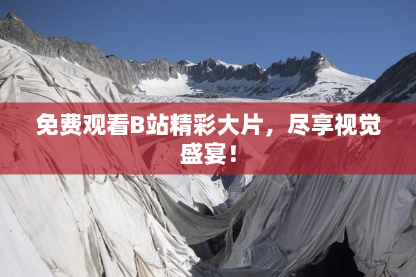 免费观看B站精彩大片，尽享视觉盛宴！