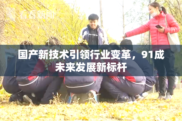 国产新技术引领行业变革，91成未来发展新标杆