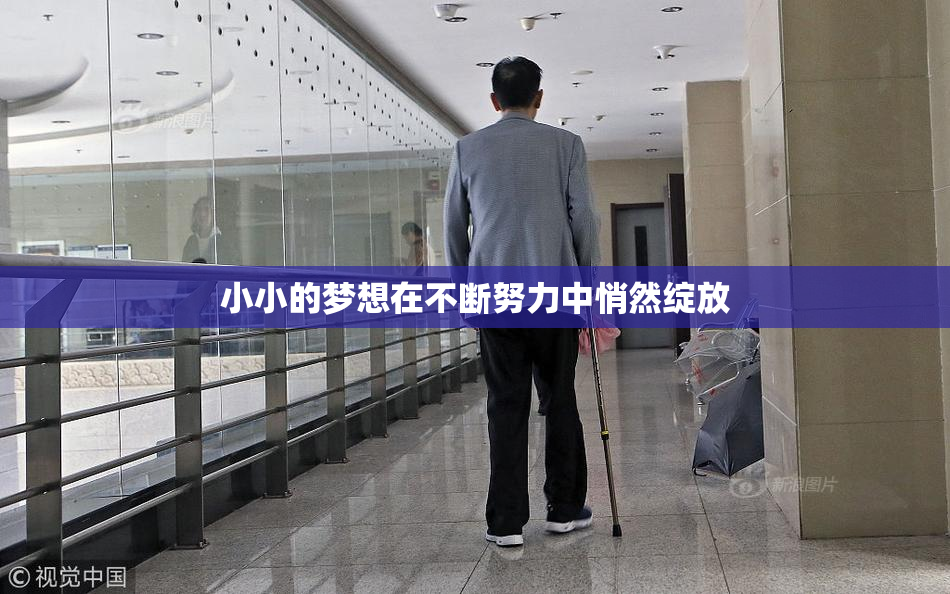 小小的梦想在不断努力中悄然绽放