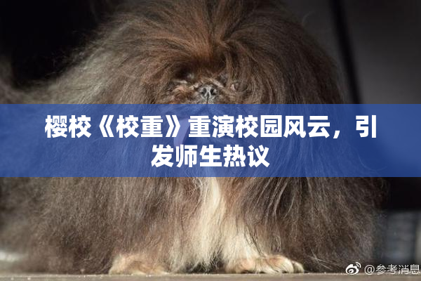樱校《校重》重演校园风云，引发师生热议