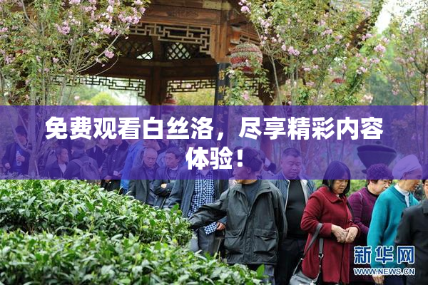 免费观看白丝洛，尽享精彩内容体验！
