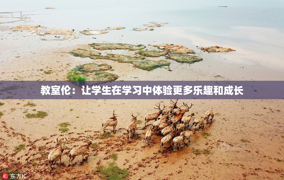 教室伦：让学生在学习中体验更多乐趣和成长