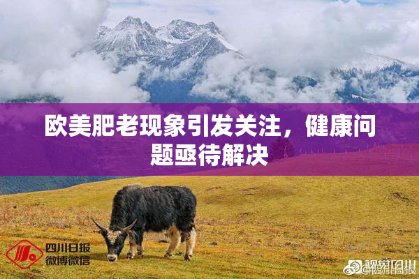欧美肥老现象引发关注，健康问题亟待解决