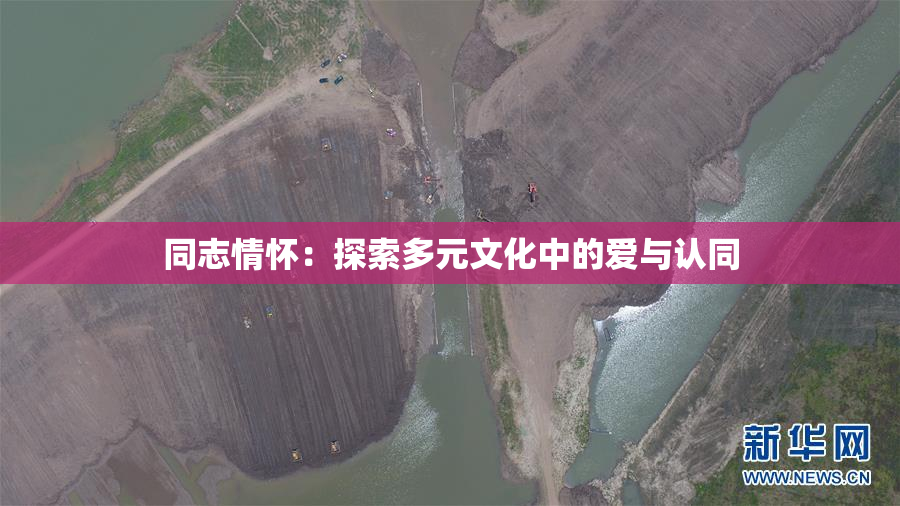 同志情怀：探索多元文化中的爱与认同
