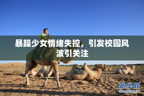 暴躁少女情绪失控，引发校园风波引关注