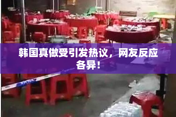 韩国真做受引发热议，网友反应各异！