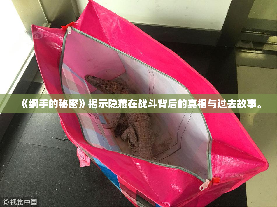 《纲手的秘密》揭示隐藏在战斗背后的真相与过去故事。