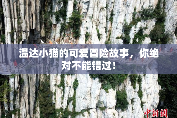 温达小猫的可爱冒险故事，你绝对不能错过！