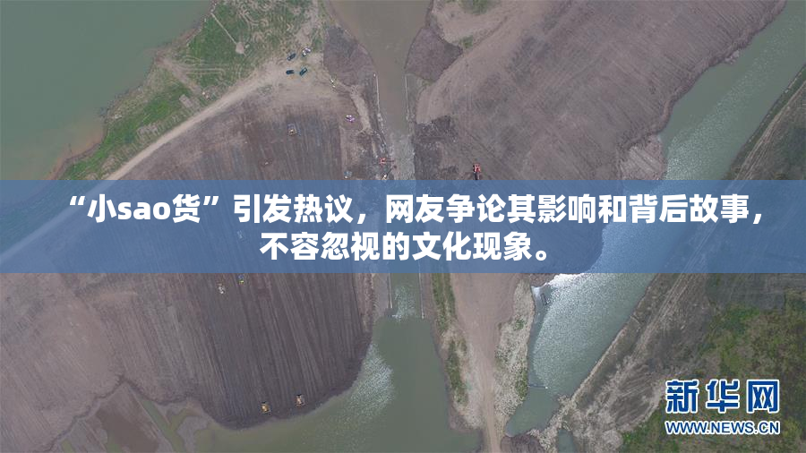 “小sao货”引发热议，网友争论其影响和背后故事，不容忽视的文化现象。