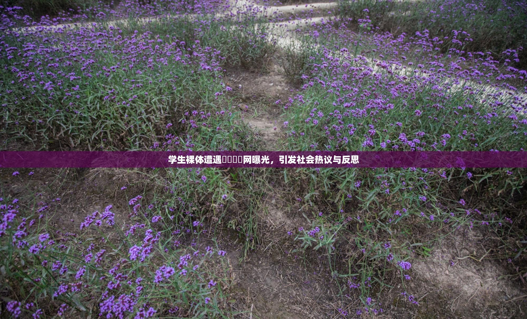 学生裸体遭遇❌‌❌‌网曝光，引发社会热议与反思