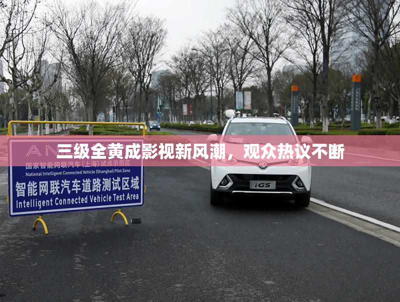 三级全黄成影视新风潮，观众热议不断
