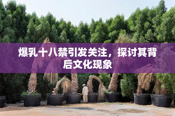 爆乳十八禁引发关注，探讨其背后文化现象