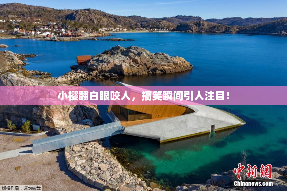 小樱翻白眼咬人，搞笑瞬间引人注目！