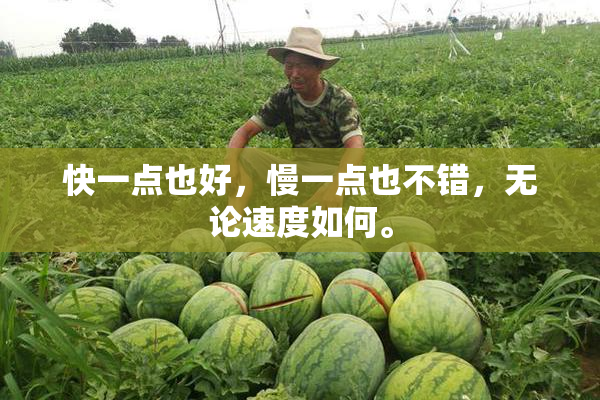快一点也好，慢一点也不错，无论速度如何。