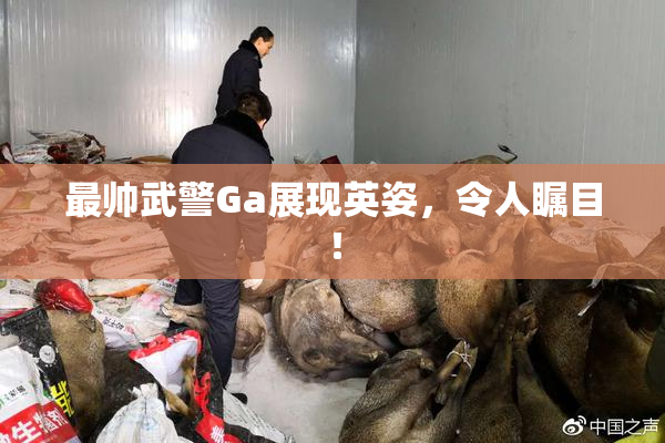 最帅武警Ga展现英姿，令人瞩目！